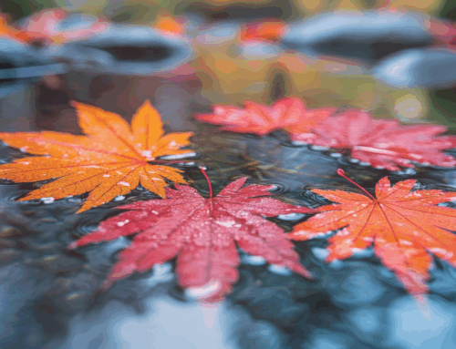 Jak energetyzowanie wody wspomaga zdrowie jesienią?