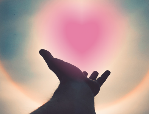 Między widzeniem, a rozpoznaniem